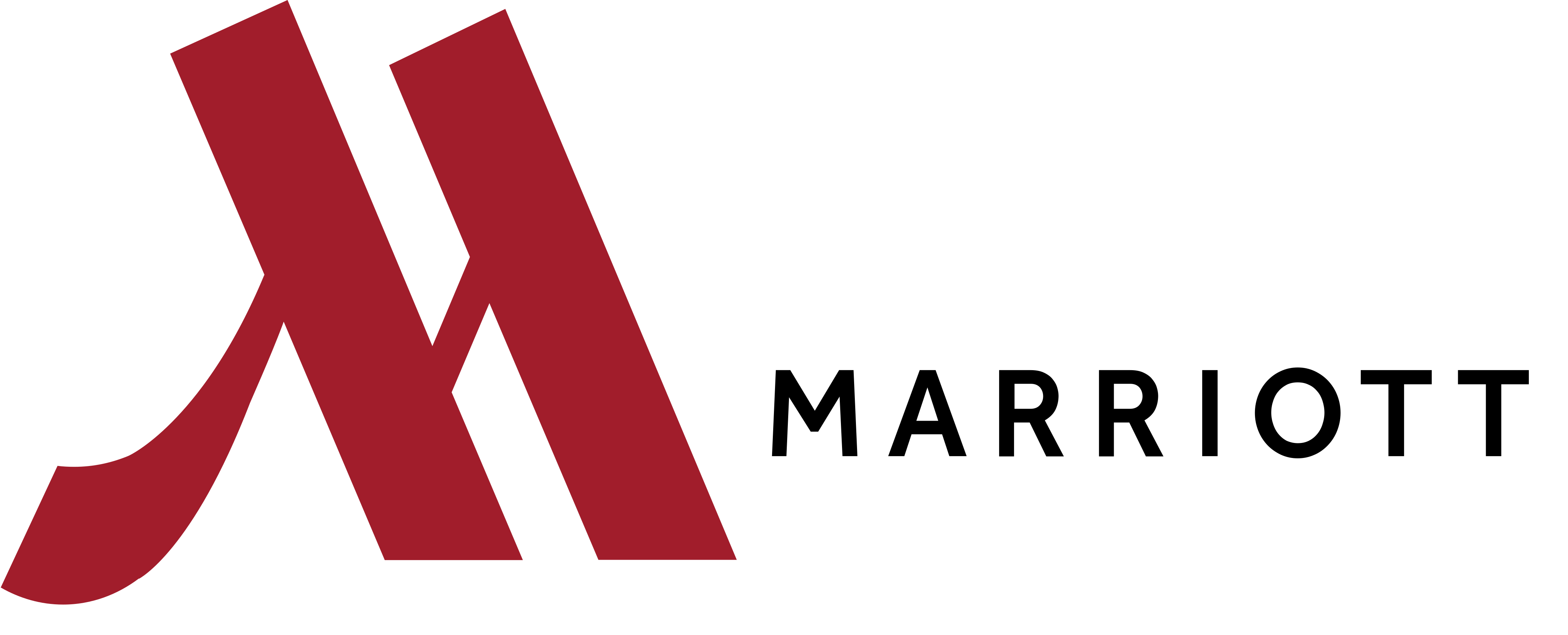 jll-logo-positive
